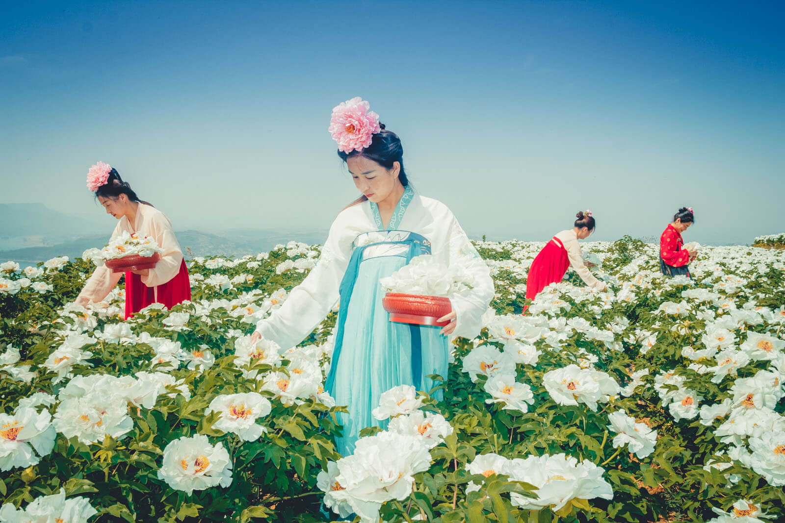 種植基地